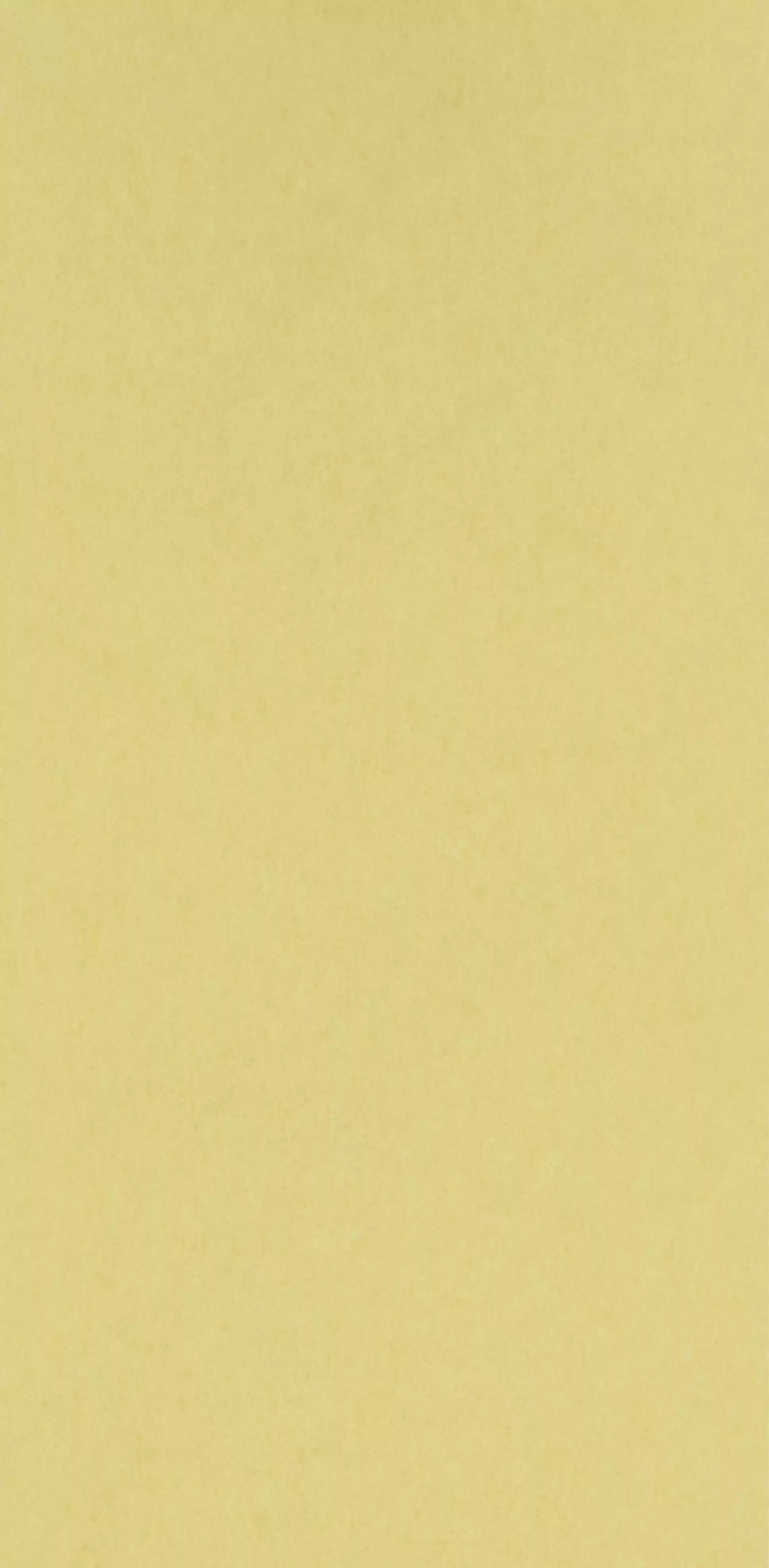 chroma-lemon-osborne-little-w7360-05