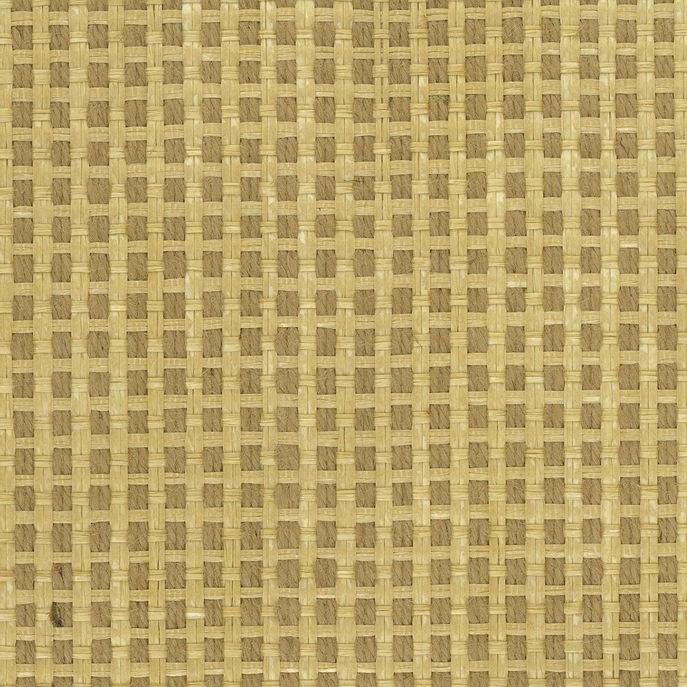 papyrus-honey-osborne-little-w7930-02