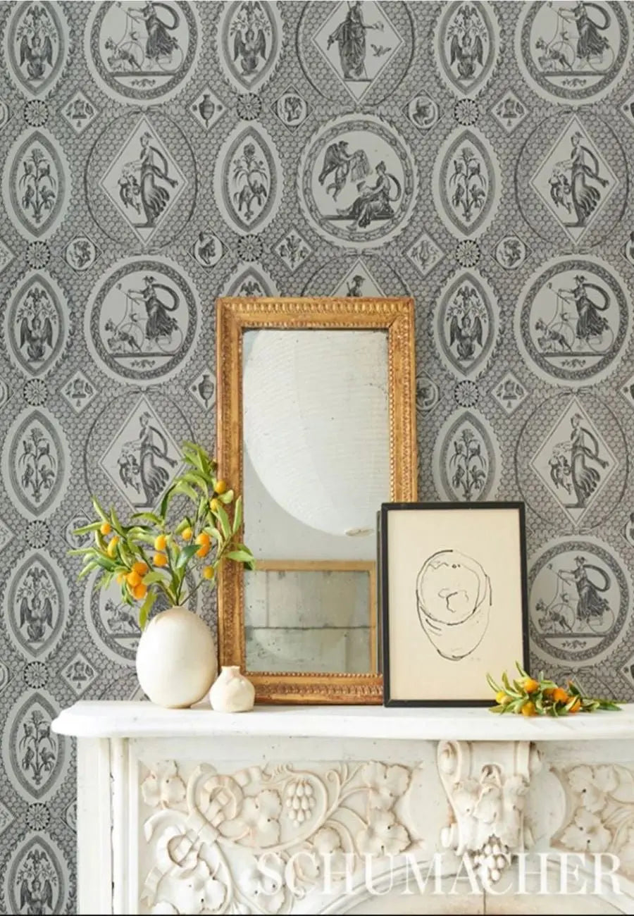 Lasershon Toile Collections by Schumacher