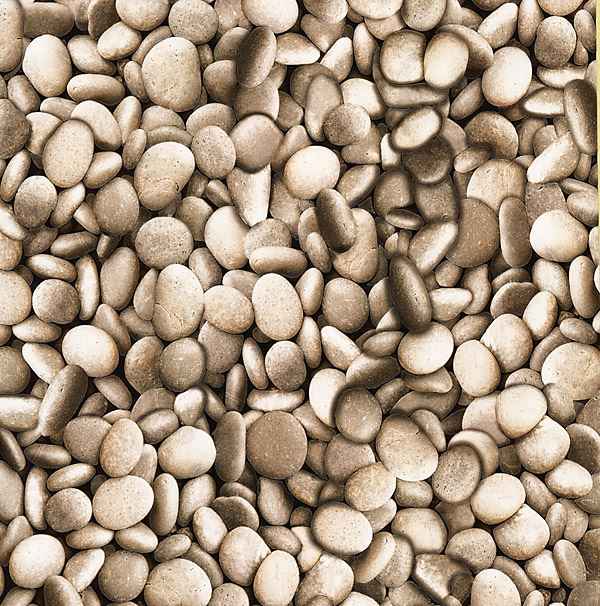 Sante Taupe Pebbles Wallpaper - York Wallcoverings - 412-56928 - York Wallcoverings Wallpaper