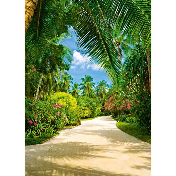 Tropical Pathway