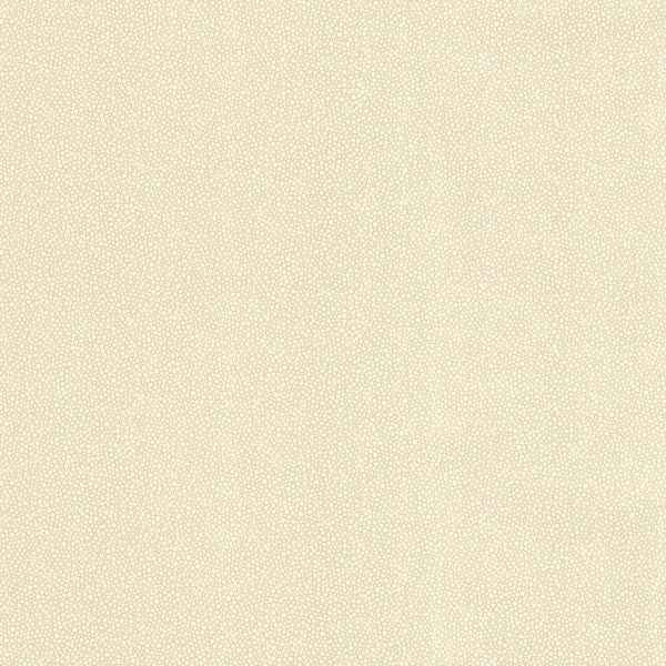 Spore Beige Bubble Texture Wallpaper - York Wallcoverings - 499-20023