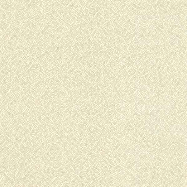 Collishaw Beige Shiny Bubble Texture Wallpaper - York Wallcoverings - 347-20023 - York Wallcoverings Wallpaper