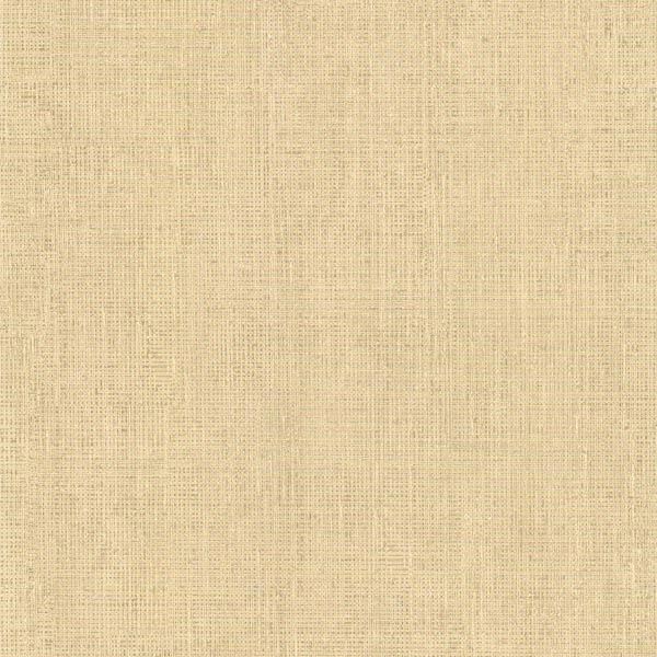 Fintex Light Brown Woven Texture