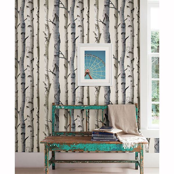 Birch Tree - York Wallcoverings - 2532-20418 - York Wallcoverings Wallpaper