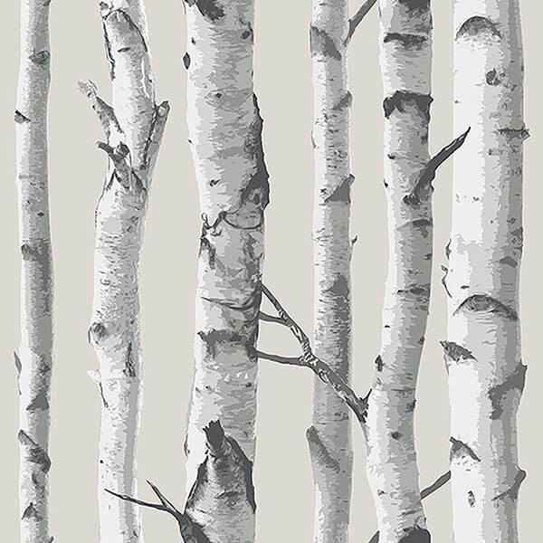 Birch Tree Peel and Stick Wallpaper - York Wallcoverings - NU3128
