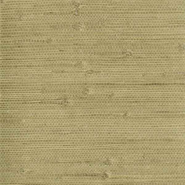 Heisoku Celery Paper Weave Wallpaper - York Wallcoverings - 2693-30212 - York Wallcoverings Wallpaper