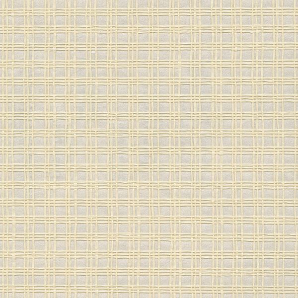 Picture of Nonen Champagne Paper Weave