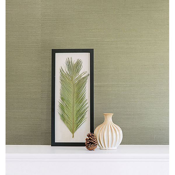 Barbora Light Green Grasscloth - Brewster Wallcovering