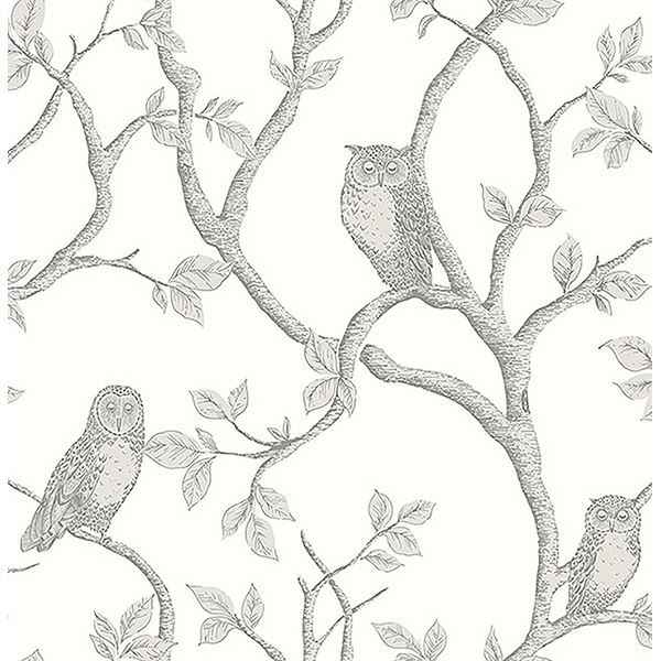 Enchanted Forest Grey Owl & Tree Wallpaper - York Wallcoverings - FD23289
