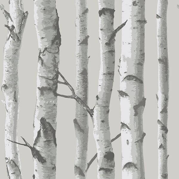 Mountain Birch Grey Peel and Stick Wallpaper - York Wallcoverings - NU1694 - York Wallcoverings Wallpaper