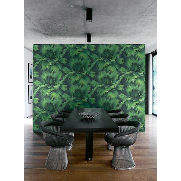 Endless Summer Dark Green Palm Wallpaper  | Brewster Wallcovering - The WorkRm