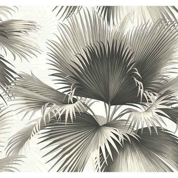 Endless Black Palm Wallpaper - York Wallcoverings - PS40100 - York Wallcoverings Wallpaper