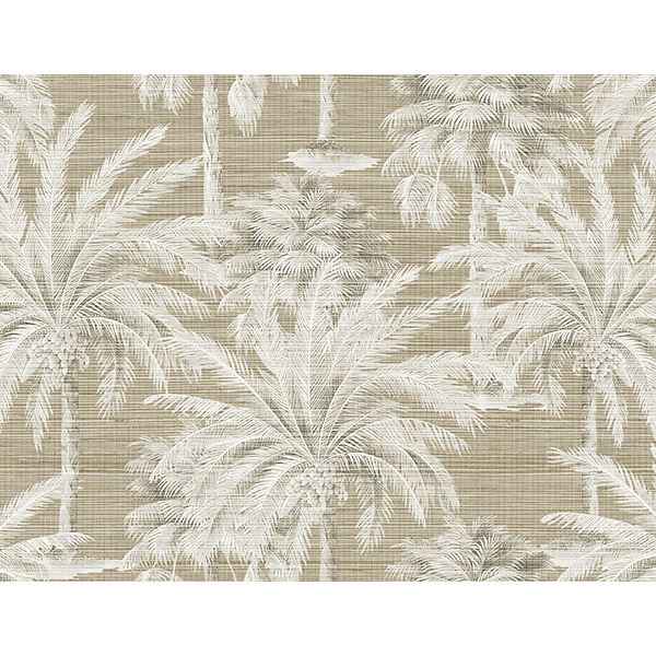 Dream Brown Texture Wallpaper - York Wallcoverings - PS40007