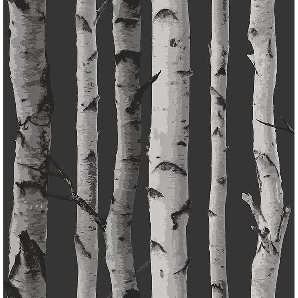 distinctive-black-birch-tree-wallpaper-york-wallcoverings-2900-31052 - York Wallcoverings Papel pintado