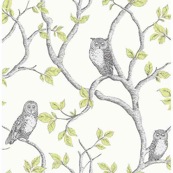Linden Green Owl Wallpaper - York Wallcoverings - 2900-40637