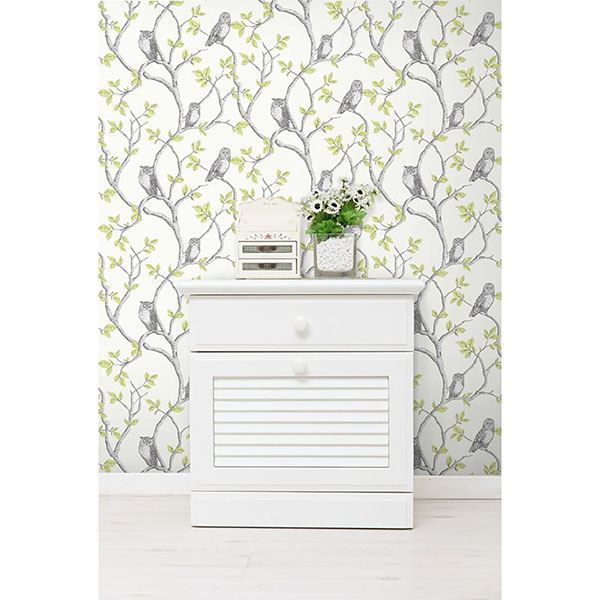 linden-green-owl-wallpaper-york-wallcoverings-2900-40637 - York Wallcoverings Wallpaper