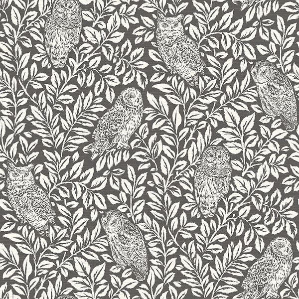 parliament-brown-owl-wallpaper-york-wallcoverings-3115-12415