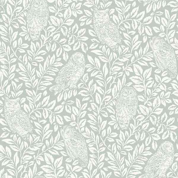 Parliament Teal Owl Wallpaper - York Wallcoverings - 3115-12414