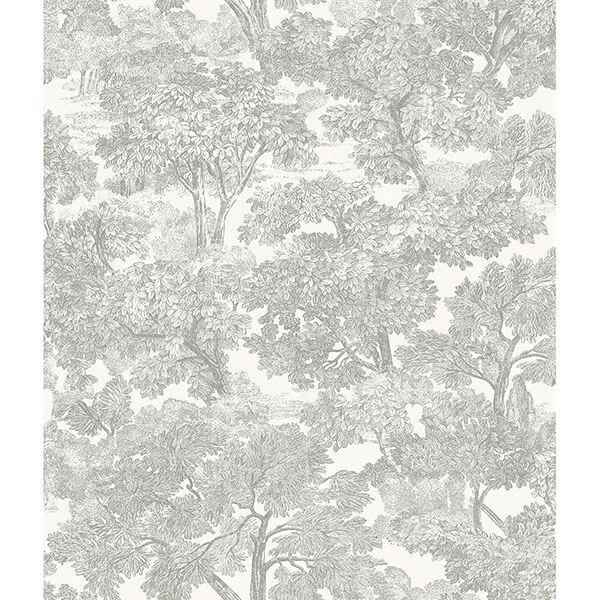 Spinney Grey Toile Wallpaper - York Wallcoverings - 3115-12541