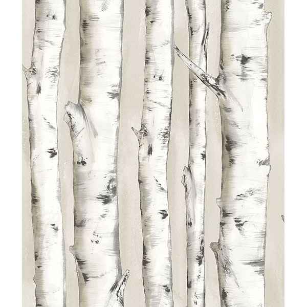 Pioneer Off White Birch Tree Wallpaper - York Wallcoverings - 3118-12601
