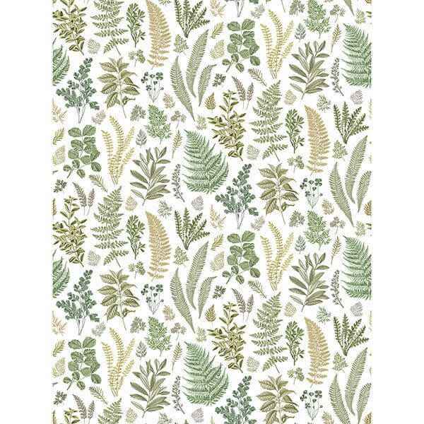 Britta Green Herbs Wall Mural - York Wallcoverings - 2821-SM25155 - York Wallcoverings Wallpaper