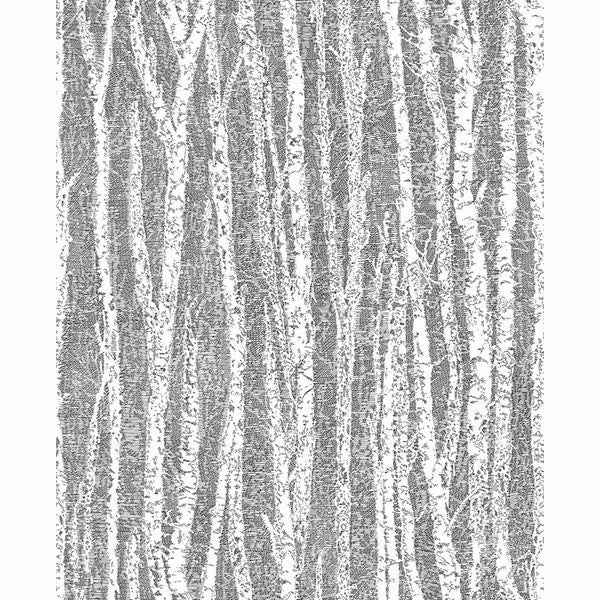 Flay Black Birch Tree Wallpaper - York Wallcoverings - 2813-24580 - York Wallcoverings Wallpaper