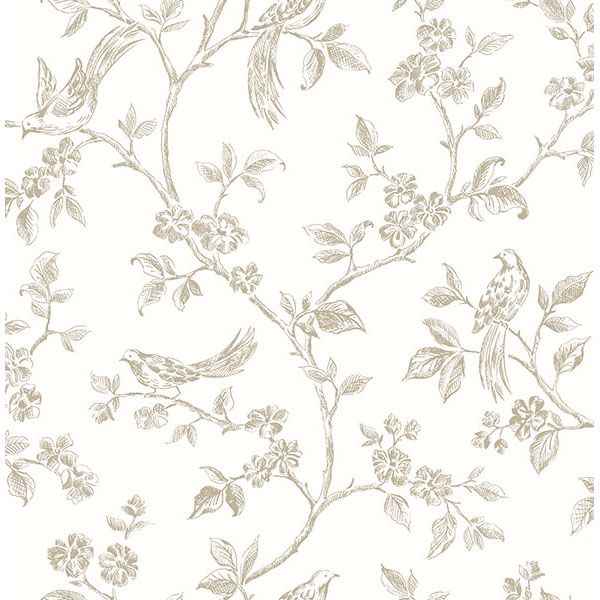 Ray Taupe Bird Trail Wallpaper - York Wallcoverings - 2813-24974 - York Wallcoverings Wallpaper