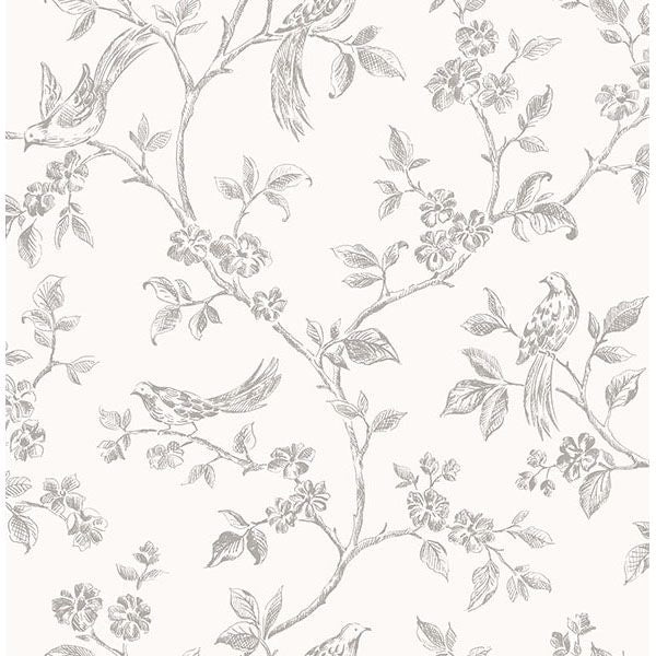ophelia-grey-bird-trail-wallpaper-york-wallcoverings-2836-24977 - York Wallcoverings Wallpaper