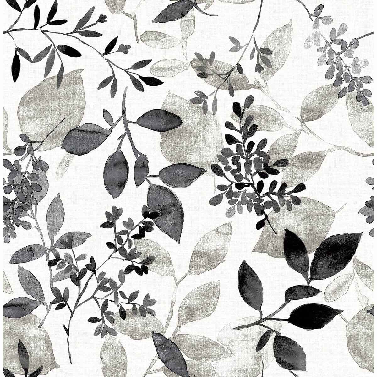 Gossamer Black Botanical Wallpaper - York Wallcoverings - 2716-23866