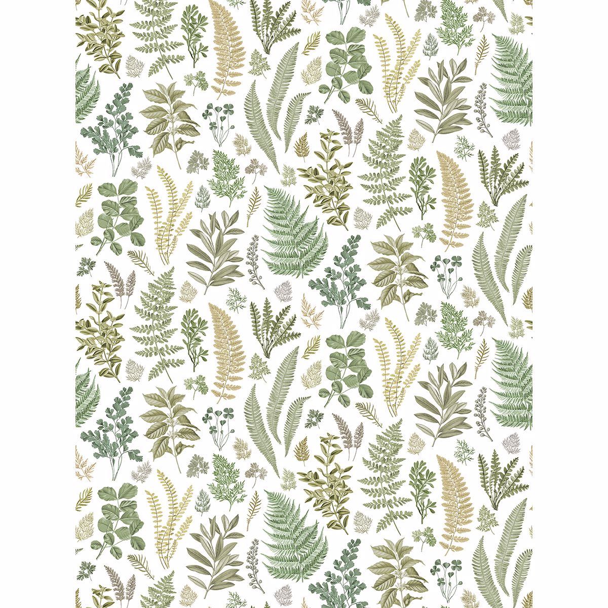 britta-green-herbs-wall-mural-york-wallcoverings-2821-sm25155