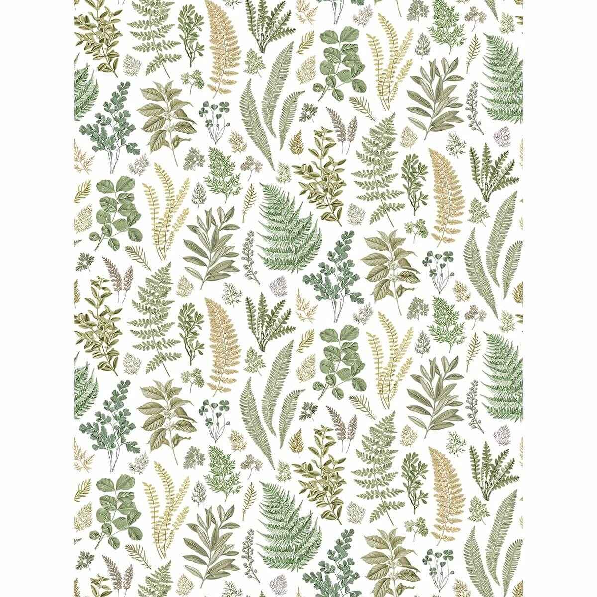 Britta Green Herbs Wall Mural - York Wallcoverings - 2821-SM25155