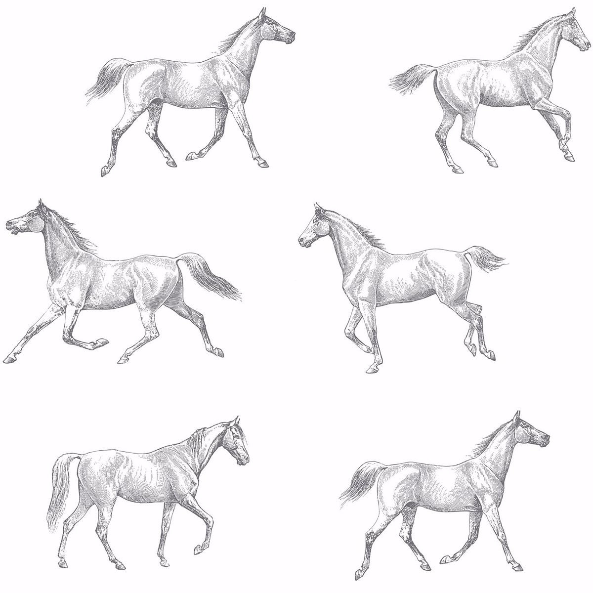 burnett-off-white-horses-wallpaper-york-wallcoverings-dd128807