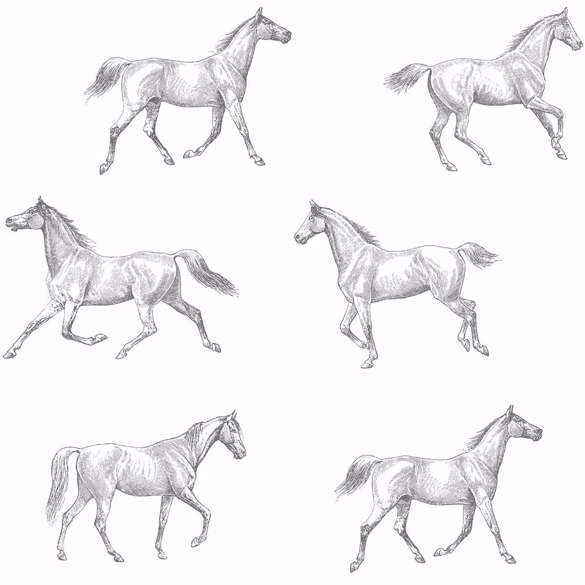 Picture of Burnett Off-White Horses Wallpaper