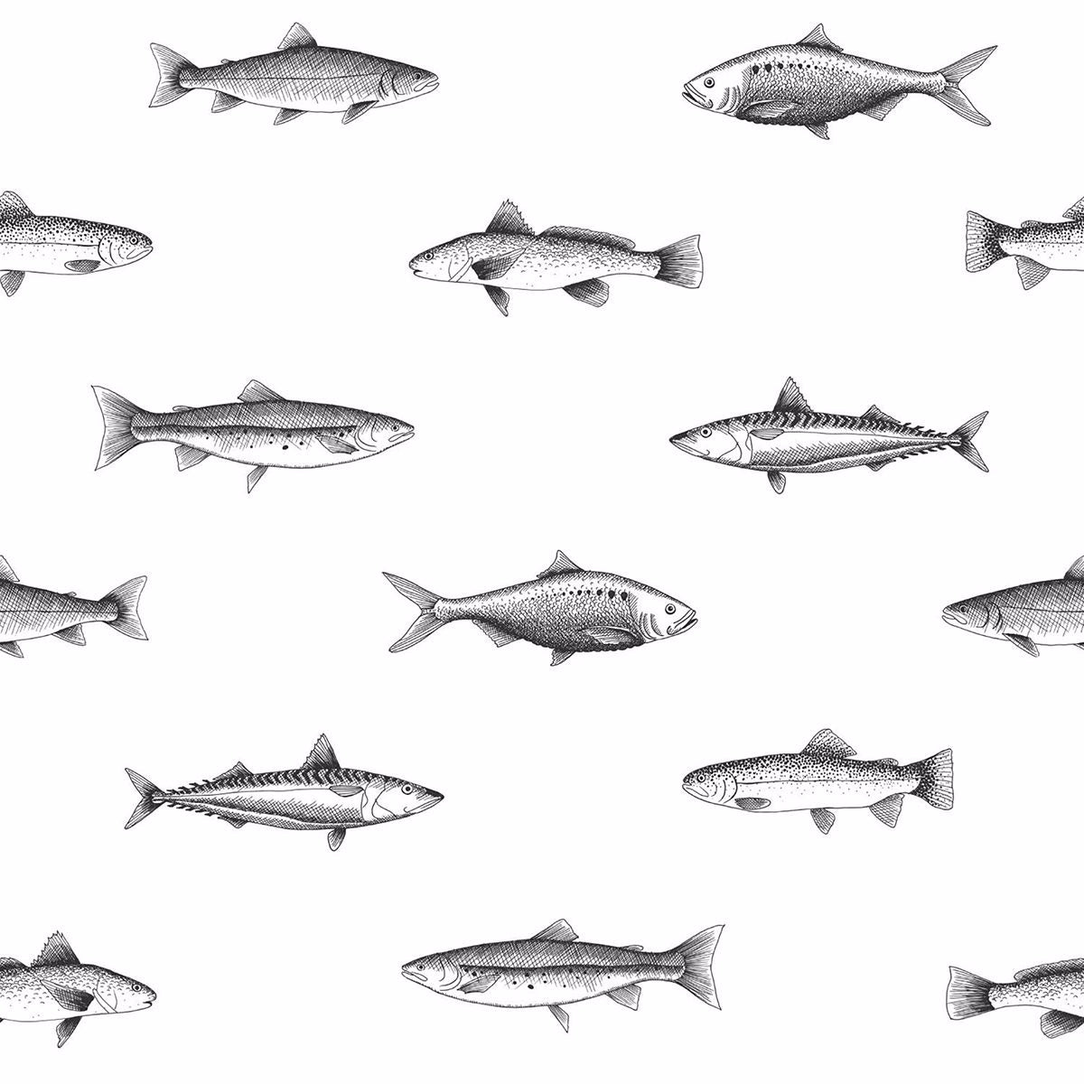 fiyero-off-white-fish-wallpaper-york-wallcoverings-dd138967