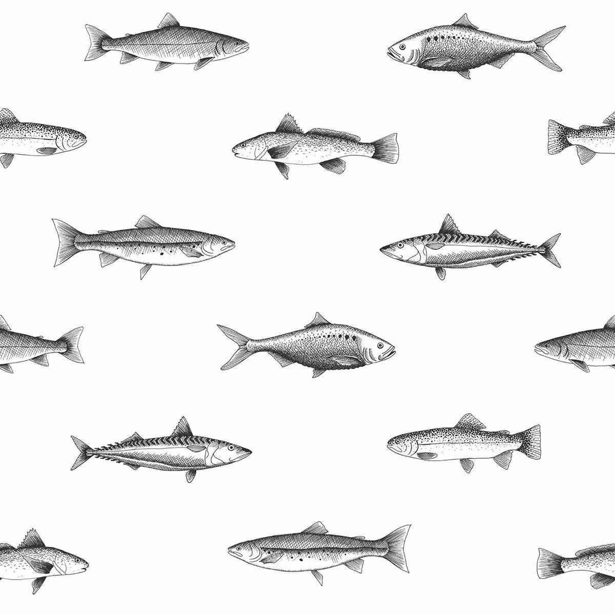 Fiyero Off White Fish Wallpaper - York Wallcoverings - DD138967