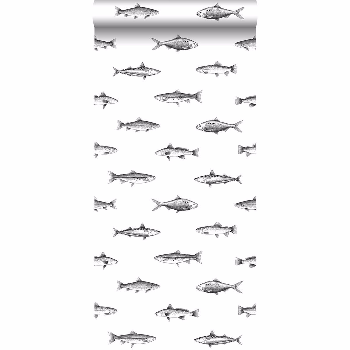 fiyero-off-white-fish-wallpaper-york-wallcoverings-dd138967 - York Wallcoverings Papel pintado