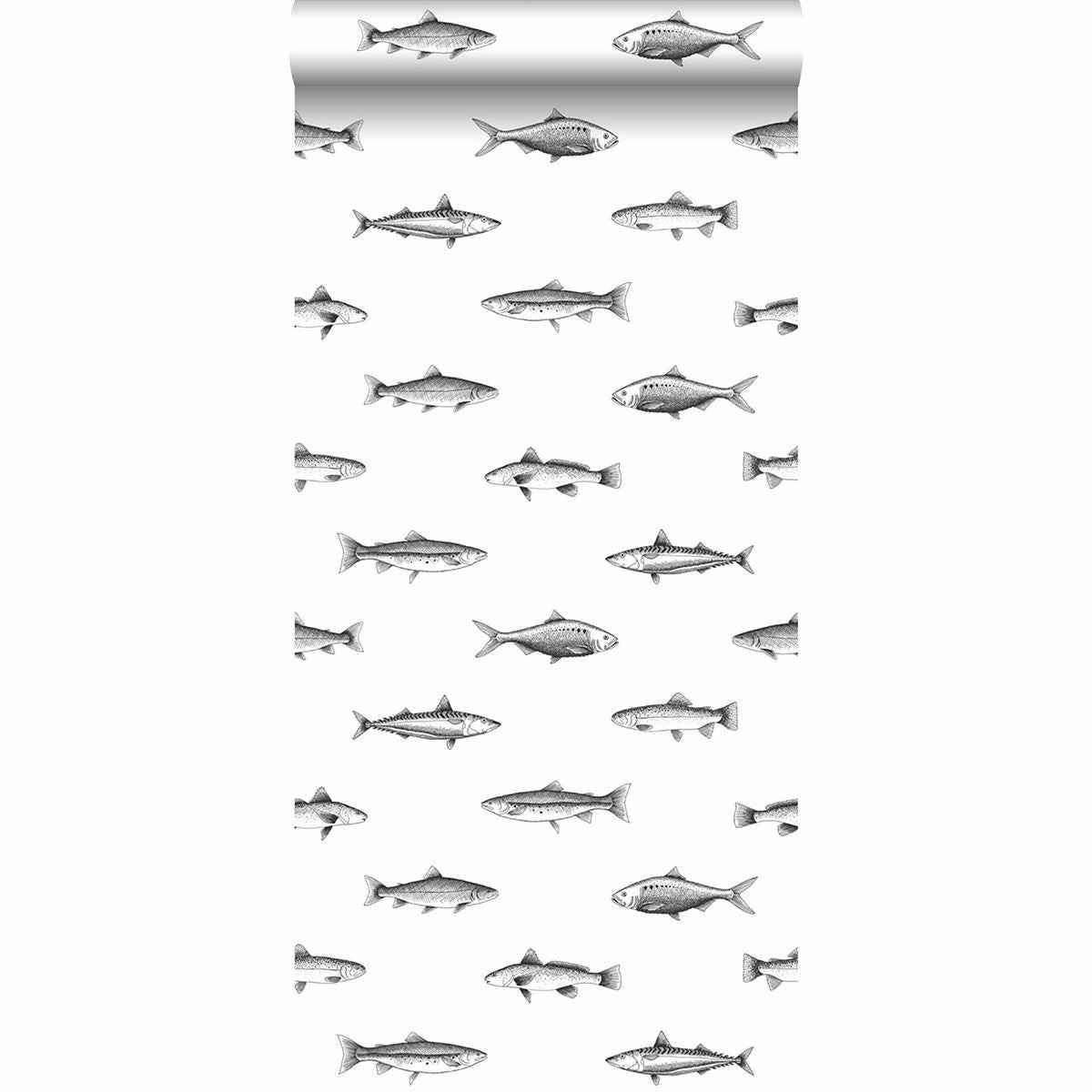 Fiyero Off White Fish Wallpaper - York Wallcoverings - DD138967 - York Wallcoverings Wallpaper