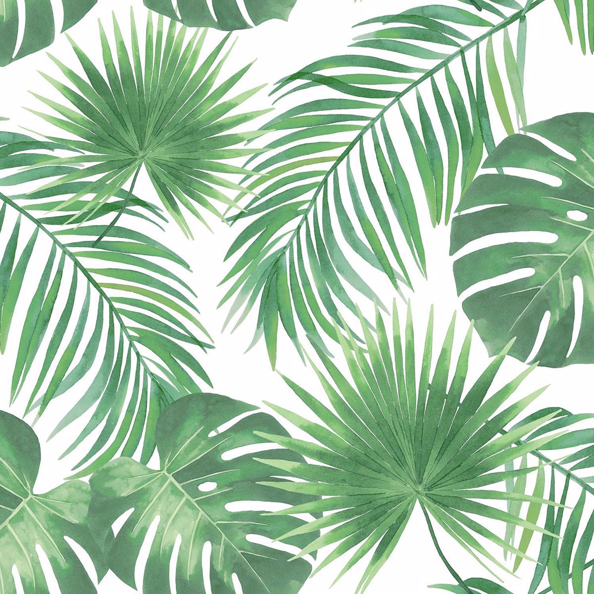 Picture of Patti Light Green Leaves Wallpaper