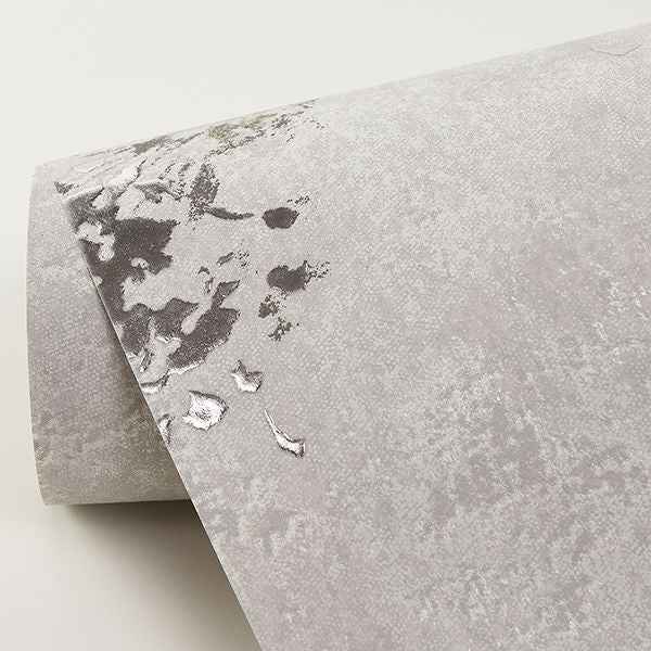 Misty Grey Distressed Dandelion Wallpaper - York Wallcoverings - 2904-00303