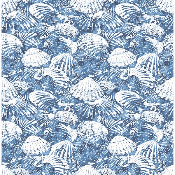 Picture of Surfside Blue Shells Wallpaper