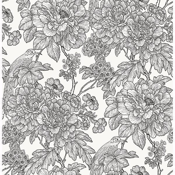 Black White Sudbury Peel and Stick Wallpaper - York Wallcoverings - NUS3544 - York Wallcoverings Wallpaper