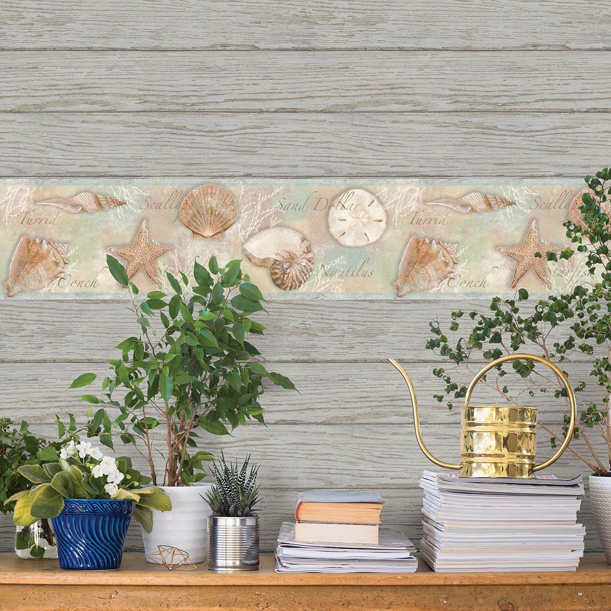 Quinten Brown Shells Border  | Brewster Wallcovering - The WorkRm