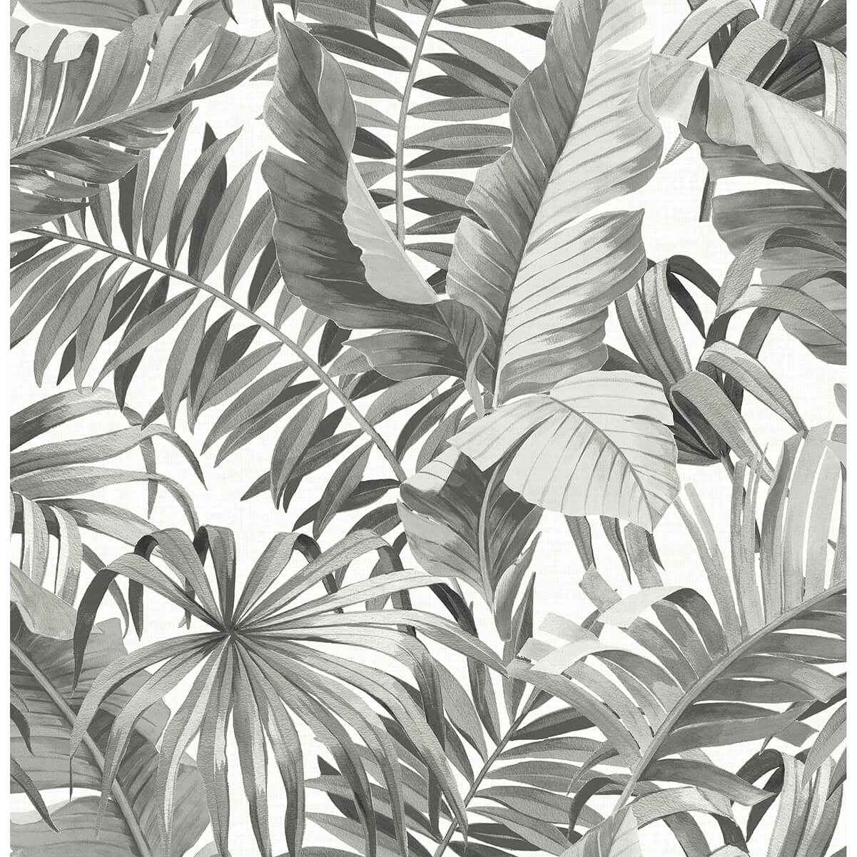 Alfresco Grey Tropical Palm Wallpaper - York Wallcoverings - 2969-24134 - York Wallcoverings Wallpaper