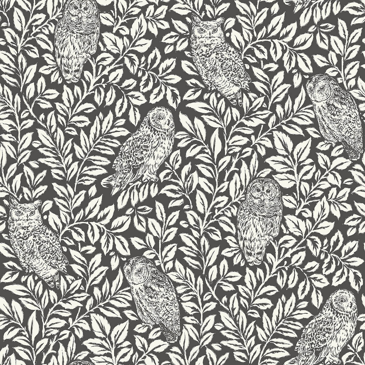 Charcoal Sleepy Owls Peel and Stick Wallpaper - York Wallcoverings - NUS3625 - York Wallcoverings Wallpaper