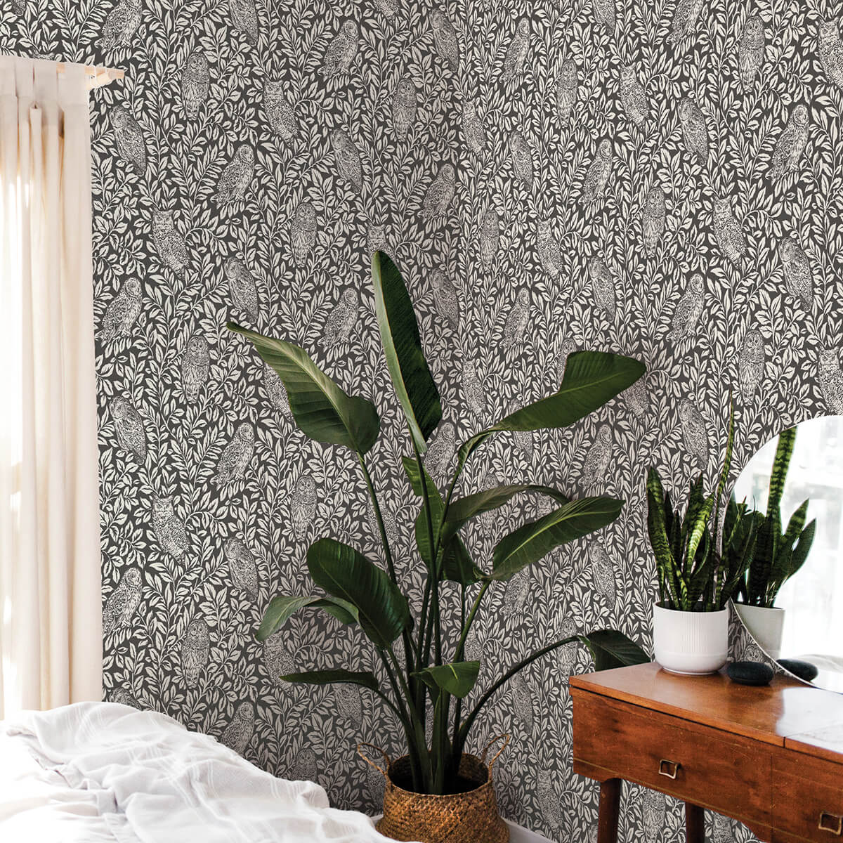 Charcoal Sleepy Owls Peel and Stick Wallpaper - York Wallcoverings - NUS3625 - York Wallcoverings Wallpaper