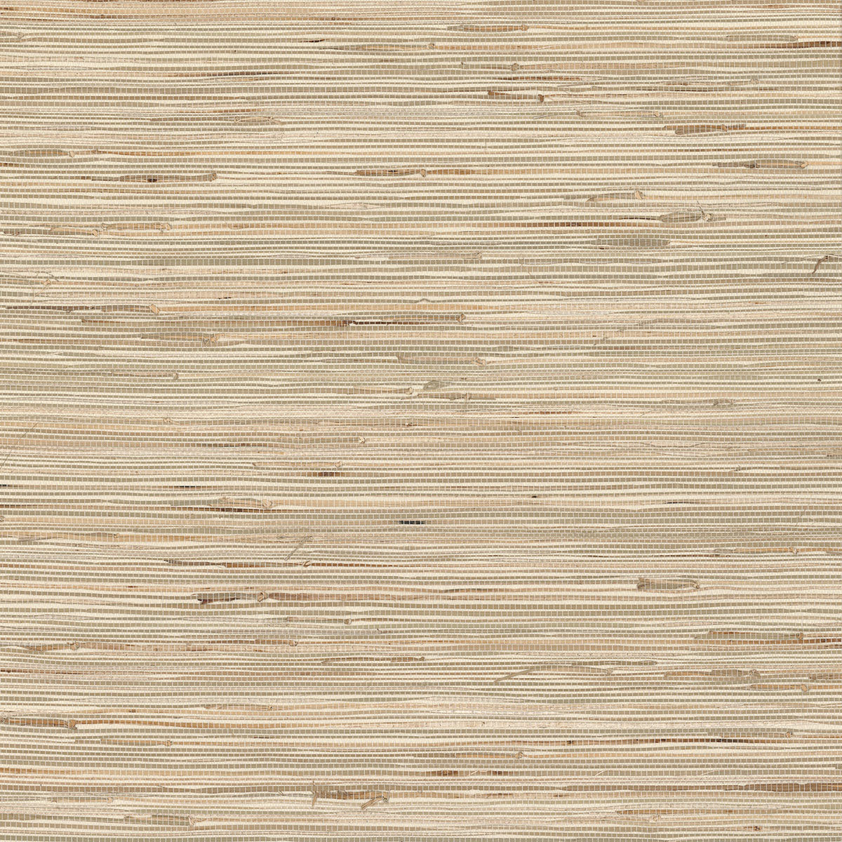 Daria Neutral Grasscloth - York Wallcoverings - 2622-65621 - York Wallcoverings Wallpaper