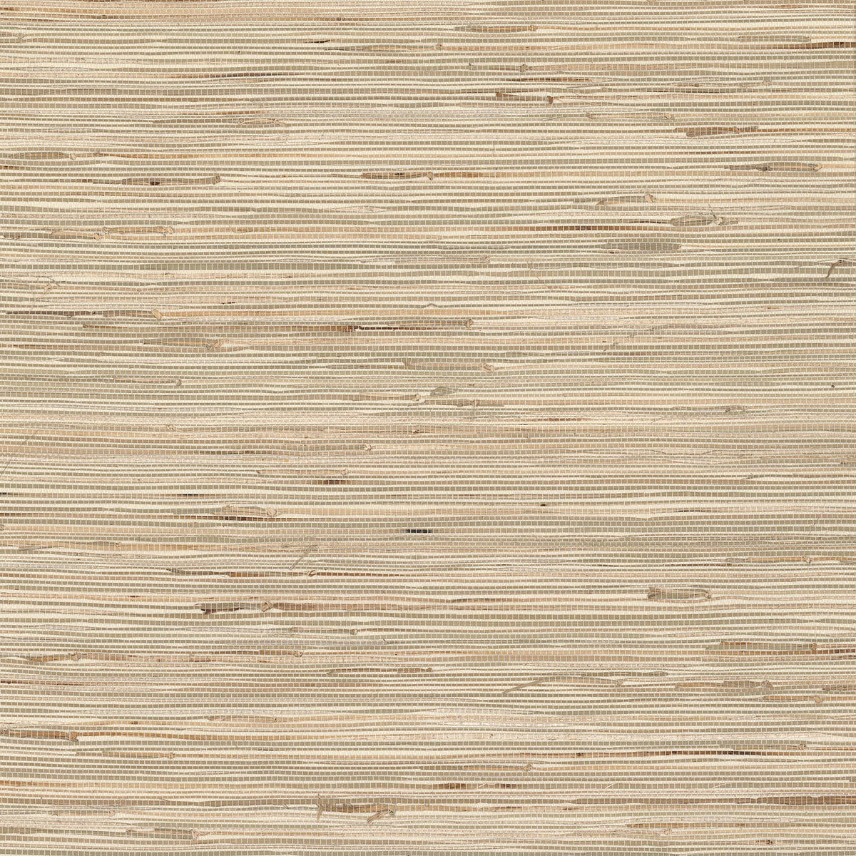 Daria Neutral Grasscloth - Brewster Wallcovering