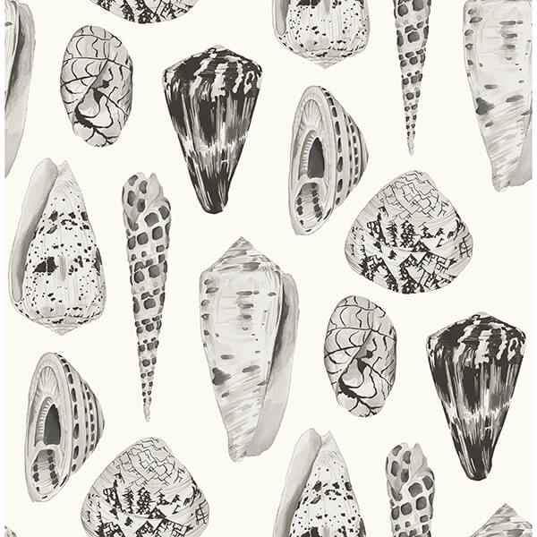 Graphite Coquina Scalamandre Self Adhesive Wallpaper - York Wallcoverings - SCS3882