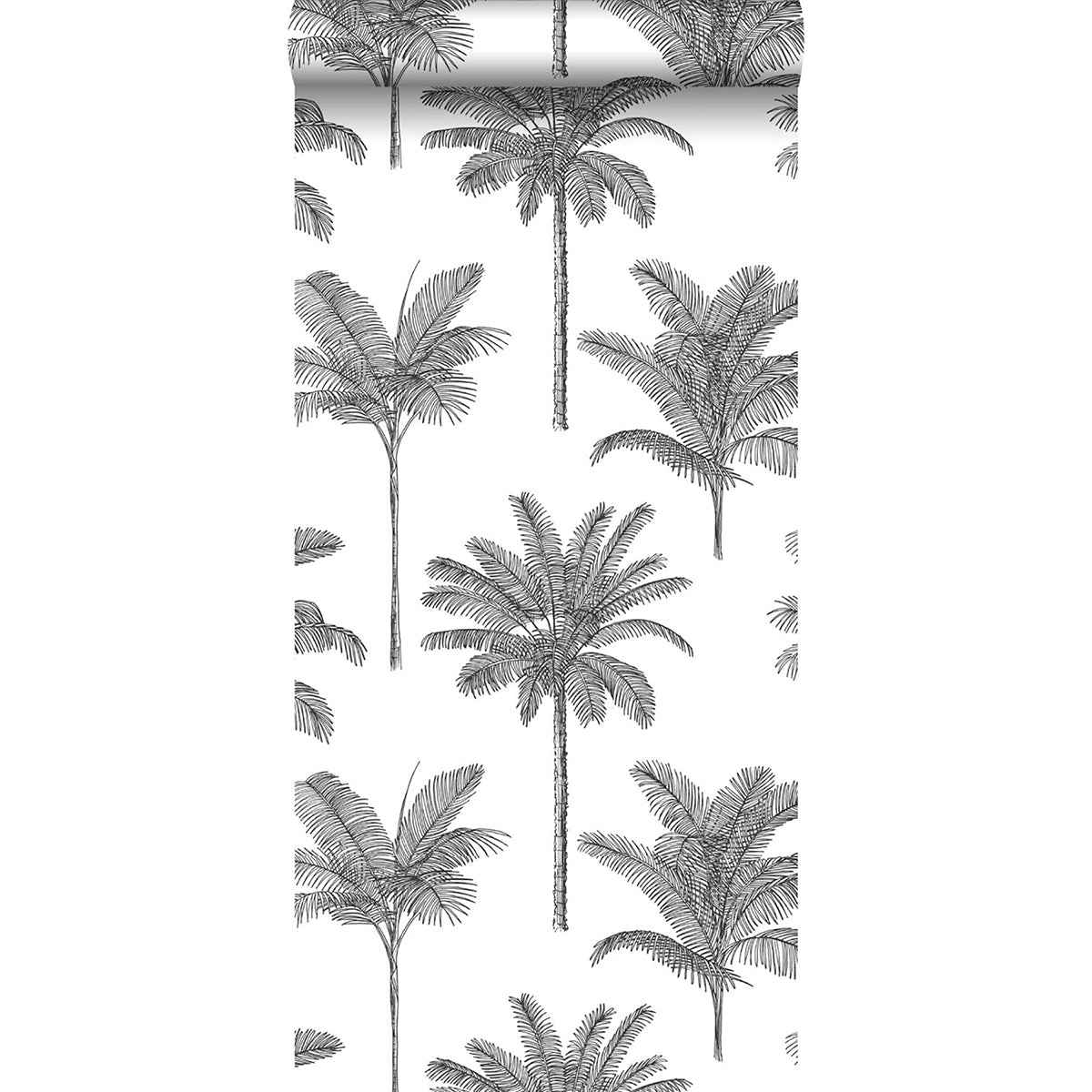 Taj Charcoal Palm Trees Wallpaper - York Wallcoverings - DD139162 - York Wallcoverings Wallpaper